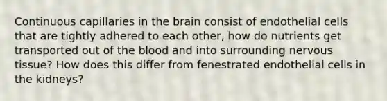 Continuous capillaries in the brain consist of endothelial cells that are tightly adhered to each other, how do nutrients get transported out of the blood and into surrounding nervous tissue? How does this differ from fenestrated endothelial cells in the kidneys?