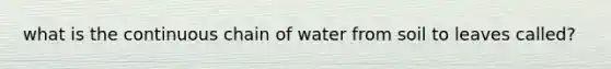 what is the continuous chain of water from soil to leaves called?