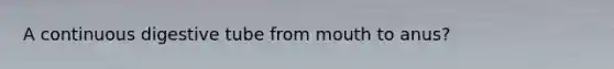A continuous digestive tube from mouth to anus?