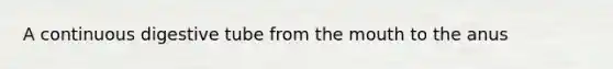 A continuous digestive tube from <a href='https://www.questionai.com/knowledge/krBoWYDU6j-the-mouth' class='anchor-knowledge'>the mouth</a> to the anus