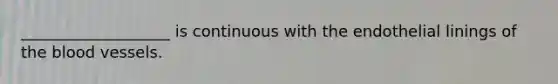 ___________________ is continuous with the endothelial linings of the blood vessels.