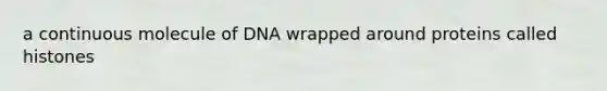 a continuous molecule of DNA wrapped around proteins called histones