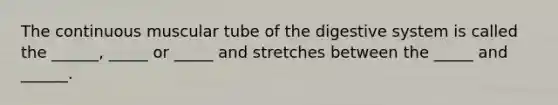 The continuous muscular tube of the digestive system is called the ______, _____ or _____ and stretches between the _____ and ______.