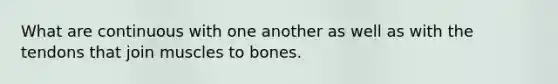 What are continuous with one another as well as with the tendons that join muscles to bones.