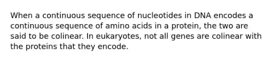 When a continuous sequence of nucleotides in DNA encodes a continuous sequence of amino acids in a protein, the two are said to be colinear. In eukaryotes, not all genes are colinear with the proteins that they encode.