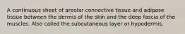 A continuous sheet of areolar connective tissue and adipose tissue between the dermis of the skin and the deep fascia of the muscles. Also called the subcutaneous layer or hypodermis.