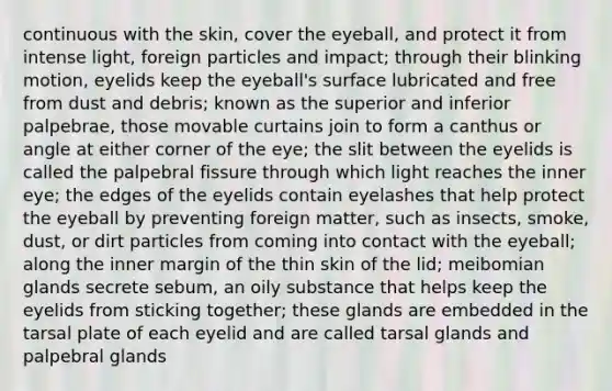 continuous with the skin, cover the eyeball, and protect it from intense light, foreign particles and impact; through their blinking motion, eyelids keep the eyeball's surface lubricated and free from dust and debris; known as the superior and inferior palpebrae, those movable curtains join to form a canthus or angle at either corner of the eye; the slit between the eyelids is called the palpebral fissure through which light reaches the inner eye; the edges of the eyelids contain eyelashes that help protect the eyeball by preventing foreign matter, such as insects, smoke, dust, or dirt particles from coming into contact with the eyeball; along the inner margin of the thin skin of the lid; meibomian glands secrete sebum, an oily substance that helps keep the eyelids from sticking together; these glands are embedded in the tarsal plate of each eyelid and are called tarsal glands and palpebral glands