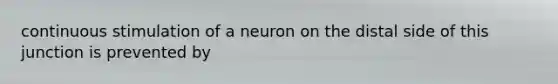 continuous stimulation of a neuron on the distal side of this junction is prevented by