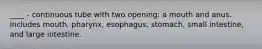 ____ - continuous tube with two opening: a mouth and anus. Includes mouth, pharynx, esophagus, stomach, small intestine, and large intestine.