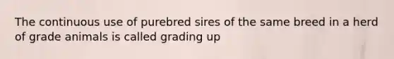 The continuous use of purebred sires of the same breed in a herd of grade animals is called grading up