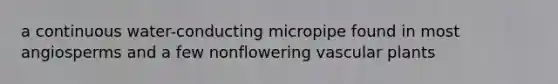 a continuous water-conducting micropipe found in most angiosperms and a few nonflowering vascular plants