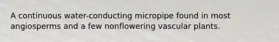 A continuous water-conducting micropipe found in most angiosperms and a few nonflowering <a href='https://www.questionai.com/knowledge/kbaUXKuBoK-vascular-plants' class='anchor-knowledge'>vascular plants</a>.