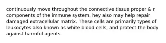 continuously move throughout the connective tissue proper & r components of the immune system. hey also may help repair damaged extracellular matrix. These cells are primarily types of leukocytes also known as white blood cells, and protect the body against harmful agents.