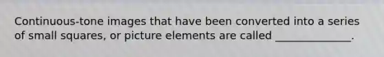 Continuous-tone images that have been converted into a series of small squares, or picture elements are called ______________.