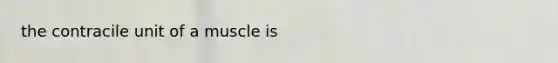 the contracile unit of a muscle is