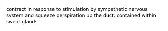 contract in response to stimulation by sympathetic nervous system and squeeze perspiration up the duct; contained within sweat glands