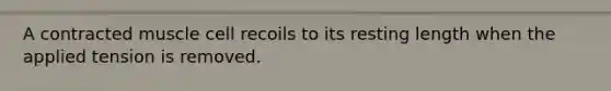 A contracted muscle cell recoils to its resting length when the applied tension is removed.