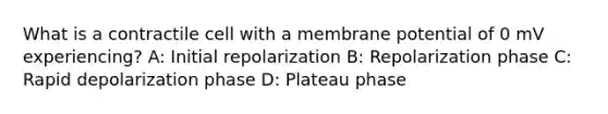 What is a contractile cell with a membrane potential of 0 mV experiencing? A: Initial repolarization B: Repolarization phase C: Rapid depolarization phase D: Plateau phase