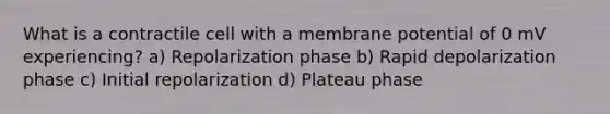 What is a contractile cell with a membrane potential of 0 mV experiencing? a) Repolarization phase b) Rapid depolarization phase c) Initial repolarization d) Plateau phase