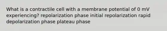 What is a contractile cell with a membrane potential of 0 mV experiencing? repolarization phase initial repolarization rapid depolarization phase plateau phase