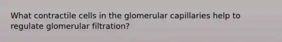 What contractile cells in the glomerular capillaries help to regulate glomerular filtration?