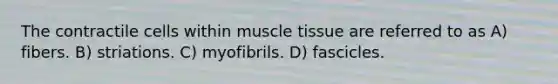 The contractile cells within <a href='https://www.questionai.com/knowledge/kMDq0yZc0j-muscle-tissue' class='anchor-knowledge'>muscle tissue</a> are referred to as A) fibers. B) striations. C) myofibrils. D) fascicles.