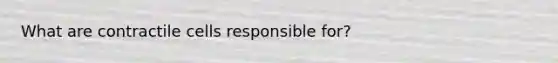 What are contractile cells responsible for?