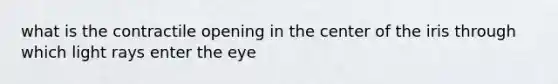 what is the contractile opening in the center of the iris through which light rays enter the eye