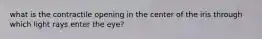 what is the contractile opening in the center of the iris through which light rays enter the eye?