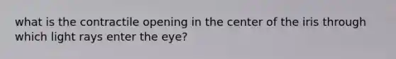 what is the contractile opening in the center of the iris through which light rays enter the eye?