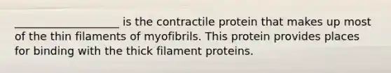 ___________________ is the contractile protein that makes up most of the thin filaments of myofibrils. This protein provides places for binding with the thick filament proteins.