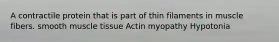 A contractile protein that is part of thin filaments in muscle fibers. smooth muscle tissue Actin myopathy Hypotonia