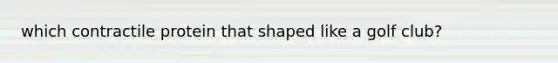 which contractile protein that shaped like a golf club?