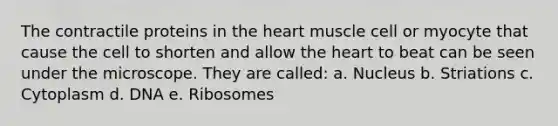 The contractile proteins in the heart muscle cell or myocyte that cause the cell to shorten and allow the heart to beat can be seen under the microscope. They are called: a. Nucleus b. Striations c. Cytoplasm d. DNA e. Ribosomes