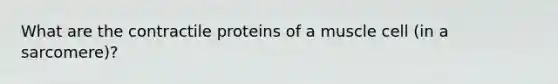 What are the contractile proteins of a muscle cell (in a sarcomere)?