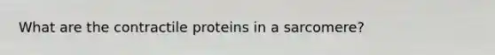 What are the contractile proteins in a sarcomere?
