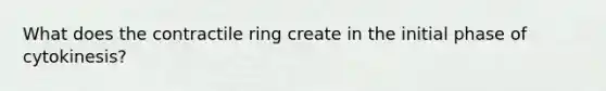 What does the contractile ring create in the initial phase of cytokinesis?
