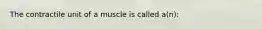 The contractile unit of a muscle is called a(n):