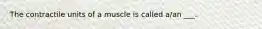 The contractile units of a muscle is called a/an ___.