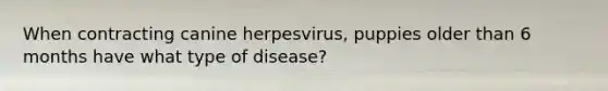 When contracting canine herpesvirus, puppies older than 6 months have what type of disease?