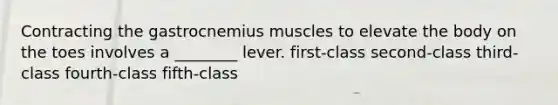 Contracting the gastrocnemius muscles to elevate the body on the toes involves a ________ lever. first-class second-class third-class fourth-class fifth-class