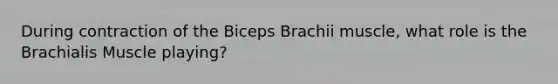 During contraction of the Biceps Brachii muscle, what role is the Brachialis Muscle playing?