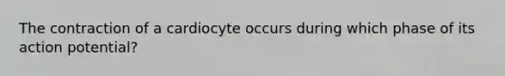 The contraction of a cardiocyte occurs during which phase of its action potential?