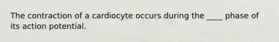 The contraction of a cardiocyte occurs during the ____ phase of its action potential.