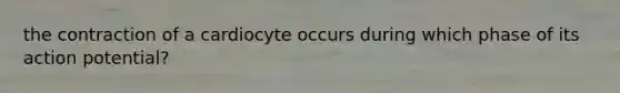 the contraction of a cardiocyte occurs during which phase of its action potential?