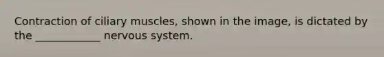Contraction of ciliary muscles, shown in the image, is dictated by the ____________ <a href='https://www.questionai.com/knowledge/kThdVqrsqy-nervous-system' class='anchor-knowledge'>nervous system</a>.