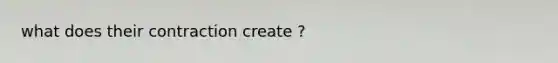 what does their contraction create ?