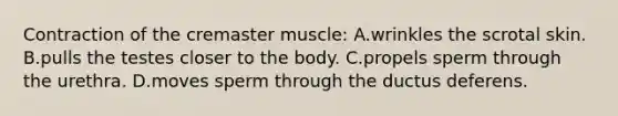 Contraction of the cremaster muscle: A.wrinkles the scrotal skin. B.pulls the testes closer to the body. C.propels sperm through the urethra. D.moves sperm through the ductus deferens.