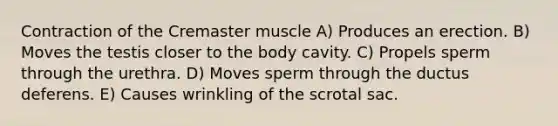 Contraction of the Cremaster muscle A) Produces an erection. B) Moves the testis closer to the body cavity. C) Propels sperm through the urethra. D) Moves sperm through the ductus deferens. E) Causes wrinkling of the scrotal sac.