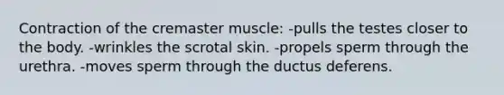 Contraction of the cremaster muscle: -pulls the testes closer to the body. -wrinkles the scrotal skin. -propels sperm through the urethra. -moves sperm through the ductus deferens.